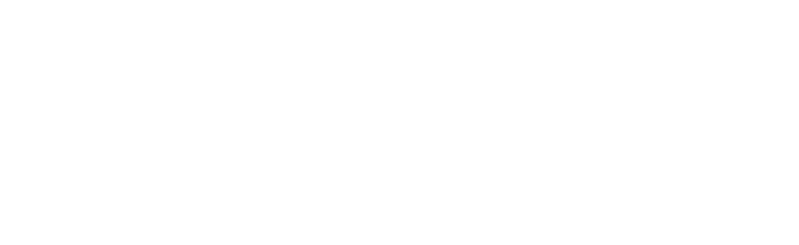 Investplus Logo